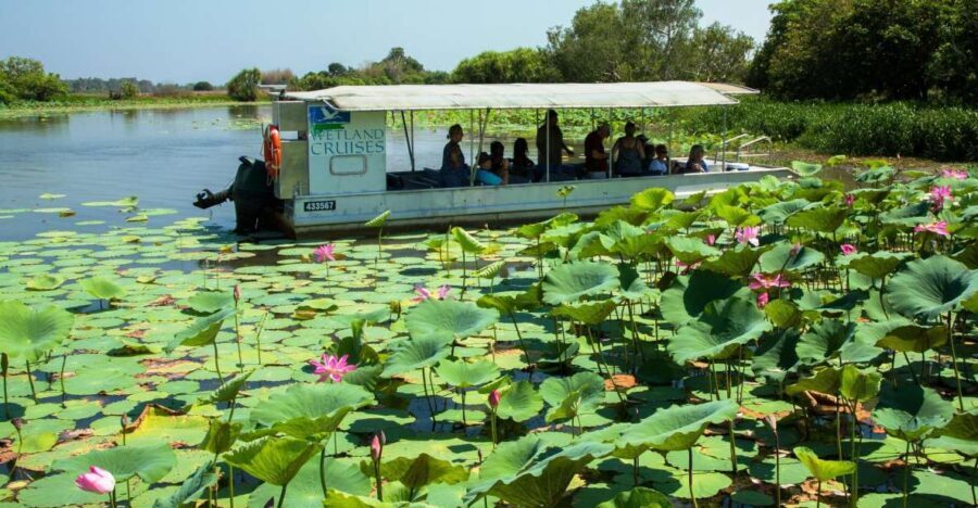 Northern Territory: Corroboree Billabong Nature Cruises - Experience Overview and Itinerary