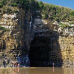Nugget Point and Cathedral Caves Private Tour from Dunedin - Transportation & Timing