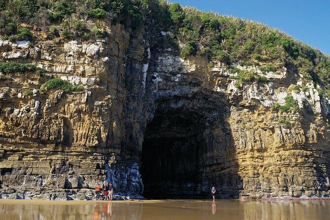 Nugget Point and Cathedral Caves Private Tour from Dunedin - Transportation & Timing