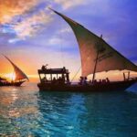 Nungwi Aqurium with sunset at kendwa Beach (half day tour) - Who Should Consider This Tour
