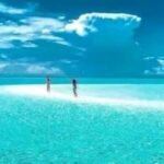 Nungwi: Mnemba Atoll Dolphins Tour with Snacks | Half-day - What’s Included and What’s Not
