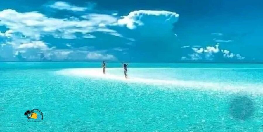 Nungwi: Mnemba Atoll Dolphins Tour with Snacks | Half-day - What’s Included and What’s Not