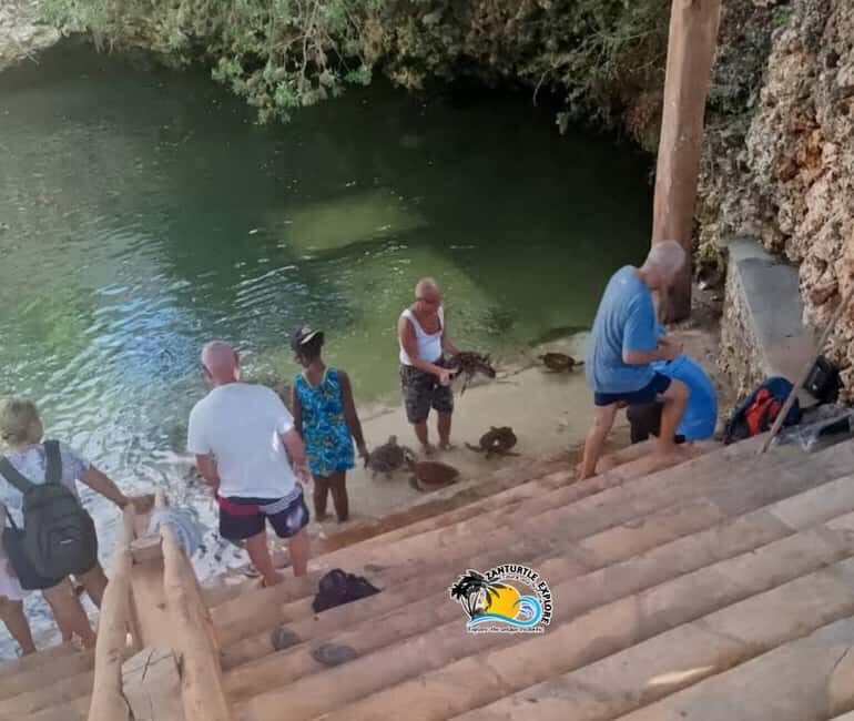Nungwi: Swim & Snorkel with Turtles at The Lagoons Zanzibar - Practical Tips for Making the Most of Your Tour