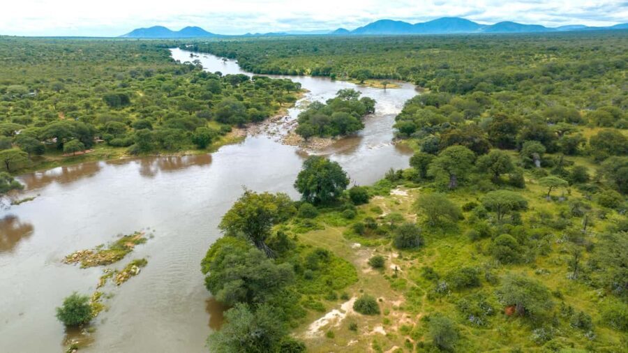 NYERERE NATIONAL PARK FROM ZANZIBAR: ONE DAY TRIP - Introduction