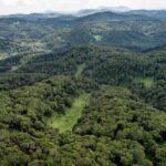 NYUNGWE: Nyungwe National Park Canopy Walk - Is the Price Worth It?