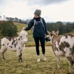 Oberon: Kenzell Farm Tour  A Hands-On Animal Adventure! - The Itinerary Breakdown