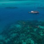 Ocean Free 25 guest Great Barrier Reef & visit Green Island Tour - The Itinerary and Key Stops
