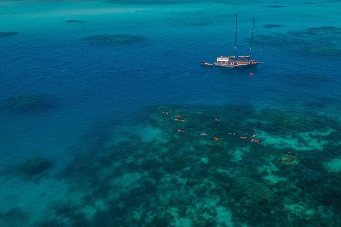 Ocean Free 25 guest Great Barrier Reef & visit Green Island Tour - The Itinerary and Key Stops