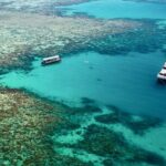 Ocean Freedom Great Barrier Reef Luxury Snorkel and Dive Cruise - Deep Dive into the Reefs