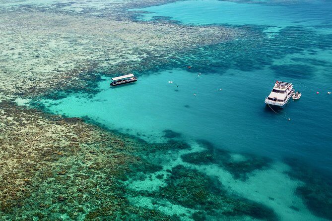 Ocean Freedom Great Barrier Reef Luxury Snorkel and Dive Cruise - Deep Dive into the Reefs