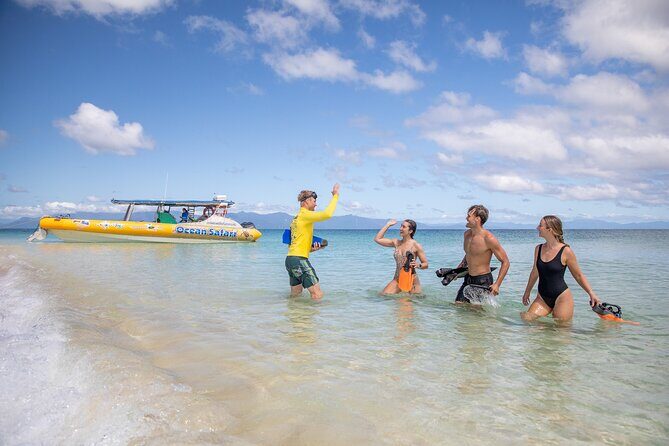 Ocean Safari Great Barrier Reef Experience in Cape Tribulation - The Details That Matter