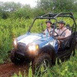 Off Road Buggy Adventure - Why Reviewers Love This Tour