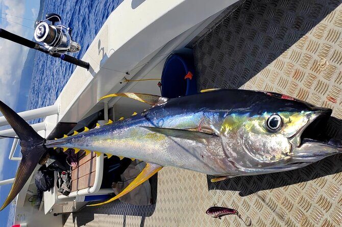 Offshore fishing around the Teahupo'o wave - FAQs