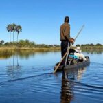 Okavango Delta: Full-Day Mokoro/Canoe Tour All-Inclusive - An In-Depth Look at the Itinerary