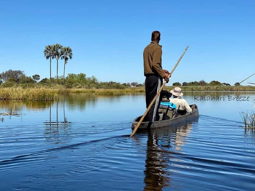 Okavango Delta: Full-Day Mokoro/Canoe Tour All-Inclusive - An In-Depth Look at the Itinerary