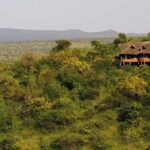 Ol Pejeta Conservancy Full-Day Safari - Practical Details and Tips