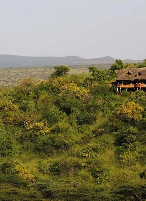 Ol Pejeta Conservancy Full-Day Safari - Practical Details and Tips