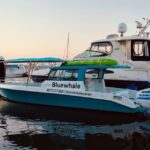 Oman Muscat: Snorkeling Adventure at Dimaniyat Islands - The Itinerary Breakdown