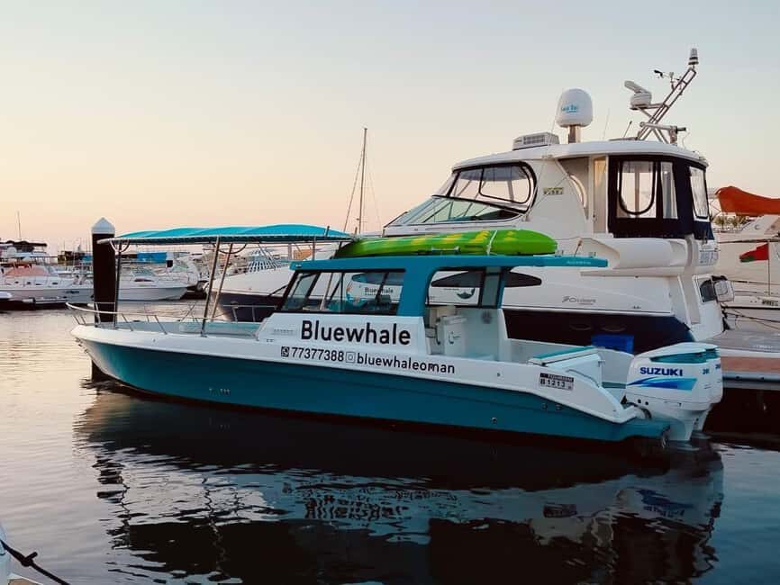 Oman Muscat: Snorkeling Adventure at Dimaniyat Islands - The Itinerary Breakdown