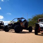 Oman Wahiba Sands ATV Safari: 400 KM Full-Day Loop to Beach - Value and Practicalities