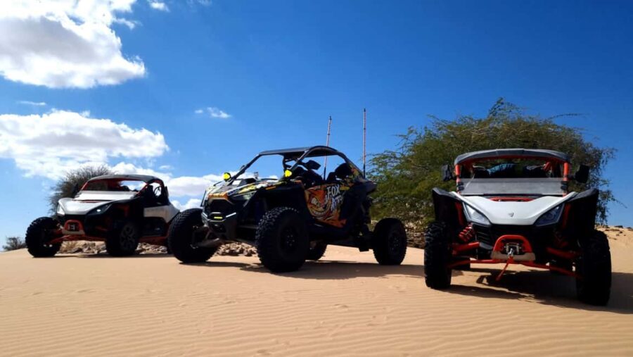 Oman Wahiba Sands ATV Safari: 400 KM Full-Day Loop to Beach - Value and Practicalities