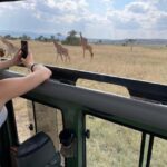 One Day Akagera Wildlife Safari - Practical Details and Value