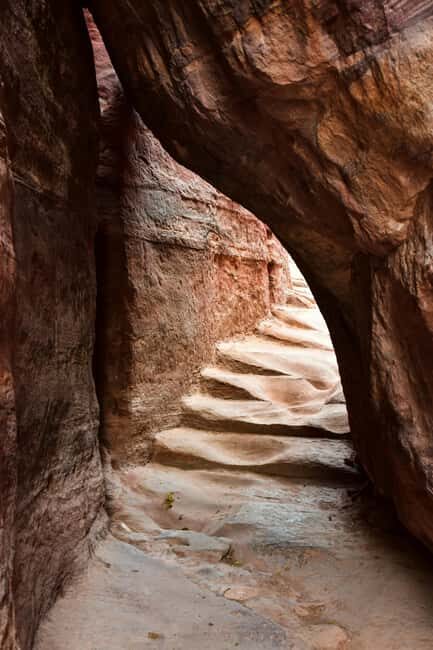 One Day Tour from Aqaba - Petra and Wadi Rum - Aqaba - What Travelers Love About This Tour
