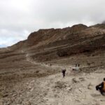 One-Day Tour: Kilimanjaro Lemosho Route from Arusha/Moshi - What’s Included and What’s Not
