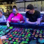 One Hour Coral Farm Tour, Discover Australia's Marine Life - Who Will Love This Experience?