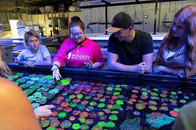 One Hour Coral Farm Tour, Discover Australia's Marine Life - Who Will Love This Experience?