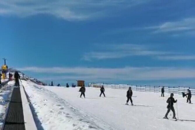 One way transfer to Remarkable or Coronet Peak Ski Fields - The Ski Fields Experience
