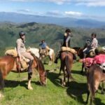 Oran: Horseback Riding Tour with Mint Tea and Pickup - The Value and Practicalities of This Tour