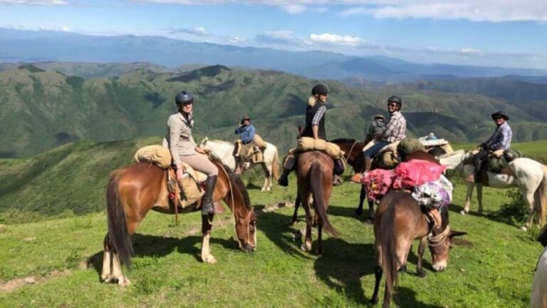 Oran: Horseback Riding Tour with Mint Tea and Pickup - The Value and Practicalities of This Tour