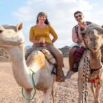 Oran: Scenic Camel Ride with Mint Tea - Pricing and Value