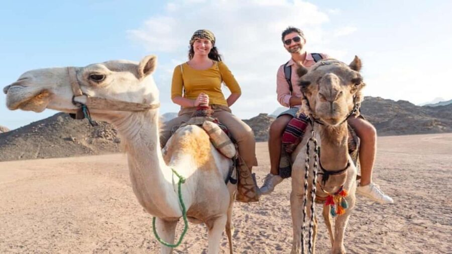 Oran: Scenic Camel Ride with Mint Tea - Pricing and Value
