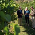 Orange: Explore with Swinging Bridge - Guided Tour & Tasting - Why This Tour Works