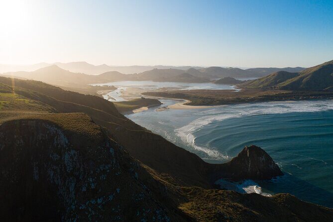Otago Peninsula In-Depth Tour & Blue Penguins Pukekura Experience - Final Thoughts: Is This Tour Worth It?