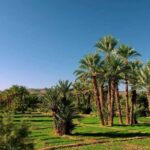 Ouarzazate: 2-Day Chegaga Desert Tour with Camel Ride - What’s Included and What’s Not