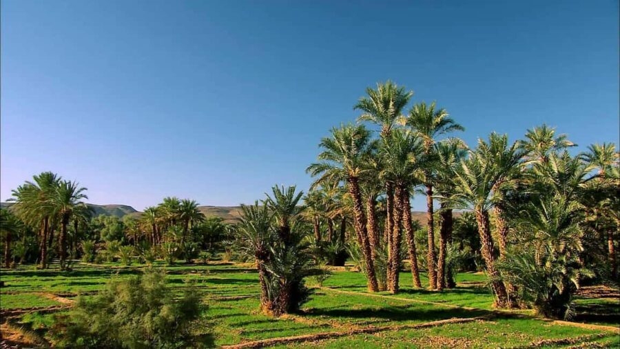 Ouarzazate: 2-Day Chegaga Desert Tour with Camel Ride - What’s Included and What’s Not