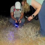 Oudtshoorn: Night Time Nature Walk - The Sum Up