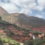Ourika Valley and Waterfall Day trip From Marrakech - Transportation and Group Size
