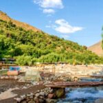 Ourika valley day trip from Marrakech - Is This Tour Worth It? Analyzing the Value