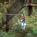 Ourimbah: Central Coast Treetops Adventure Tree Ropes Course - The Review from Visitors