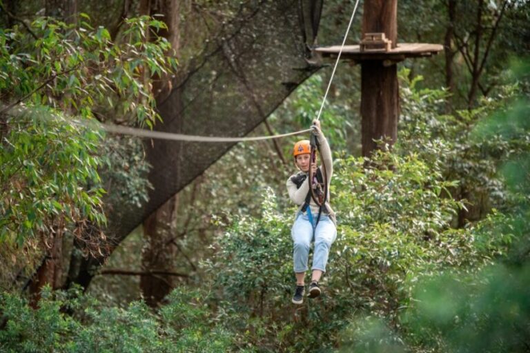 Ourimbah: Central Coast Treetops Adventure Tree Ropes Course - The Review from Visitors
