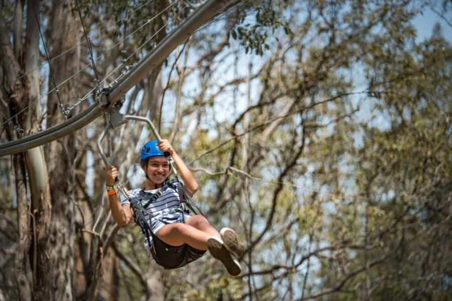 Ourimbah: Central Coast Zipcoaster - What to Expect on Your Zipcoaster Adventure