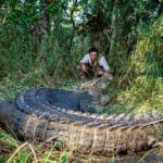 Outback Camp: Day Tour with Andrew Ucles - Deep Dive into the Value