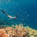 Outer Great Barrier Reef Snorkel Adventure in Airlie Beach - Introduction to the Outer Great Barrier Reef Snorkel Experience