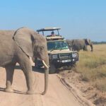OVER NIGHT AMBOSELI PARK FROM NAIROBI BUDGET SAFARI. - Transportation and Comfort