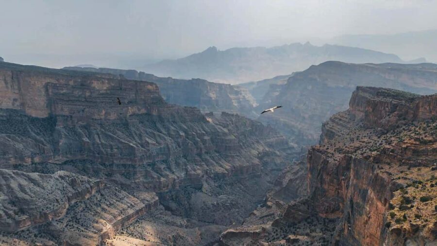 Overnight Camping at Jebel Shams (2 Days 1 Night) - Practical Details & Tips