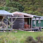 Overnight Experience Tour on Kapiti Island - The Itinerary in Detail